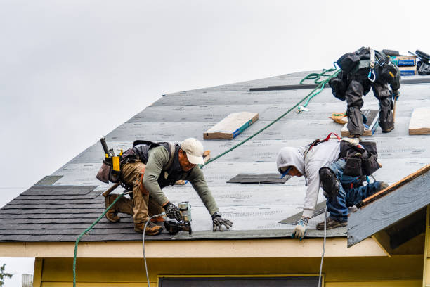 Professional Gutter Installation technician working in Dundee, KY